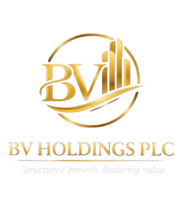 BV HOLDINGS